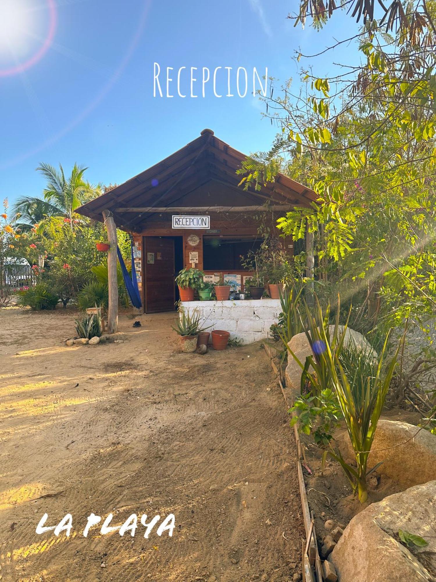 Hotel La Playa มาซุนเต ภายนอก รูปภาพ