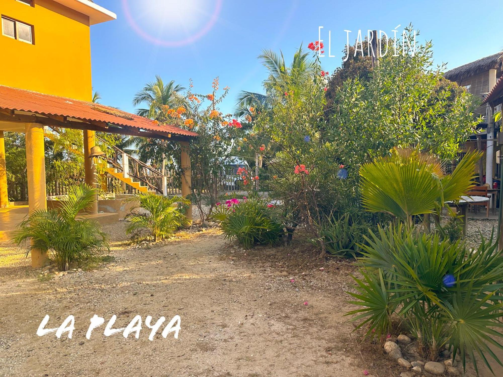 Hotel La Playa มาซุนเต ภายนอก รูปภาพ